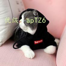 벻