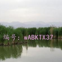 ǧ