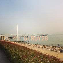 ҵ