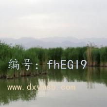 ջ