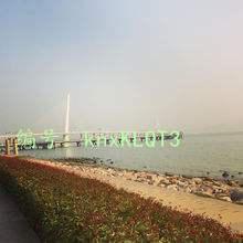 ҵ