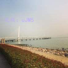 Ʋ