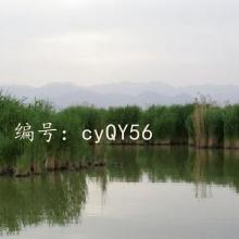 ջ