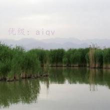 ջ