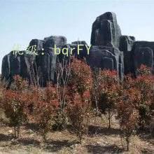 Ų