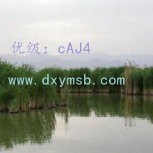ʦ